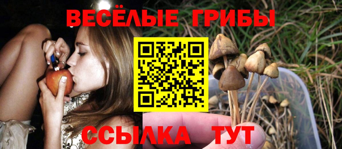 Псилоцибиновые грибы мухоморы  Вход с VPN  Галлюциногенные грибы Cubensis  Ростов-на-Дону 